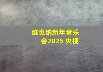 维也纳新年音乐会2025 央视